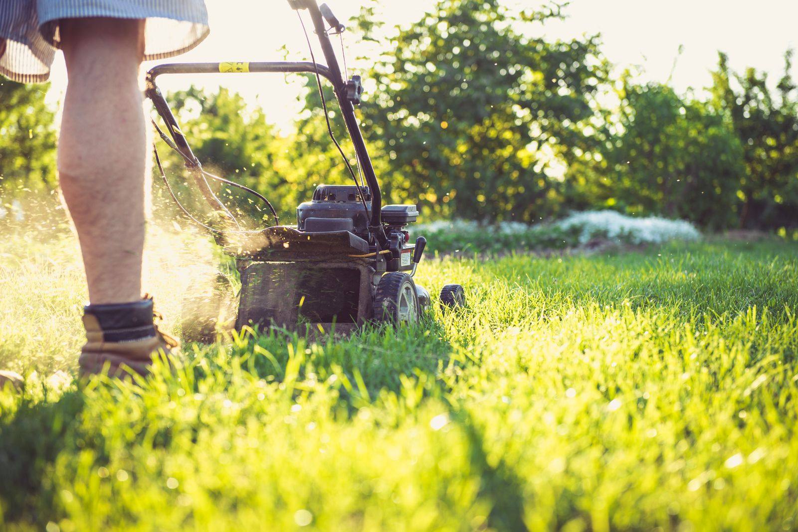 Lawn being mowed